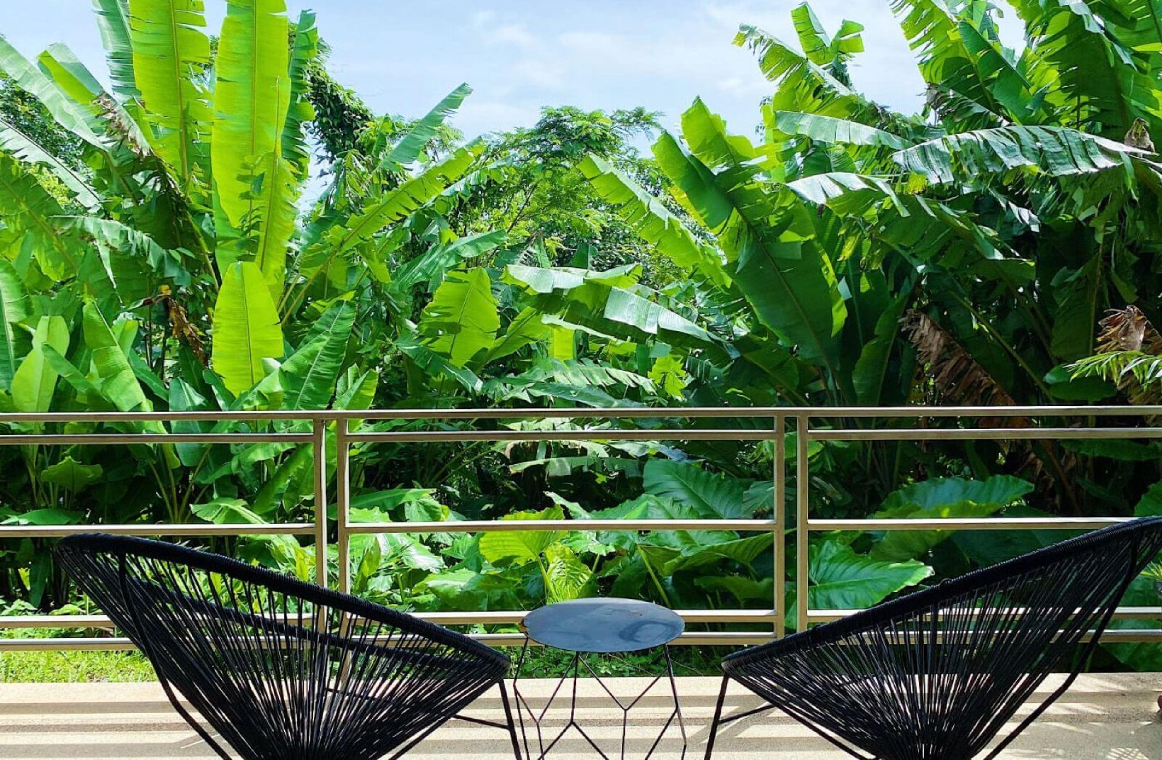 Exclusive sea view villa 600m from Naithon beach — Sakhu, Thalang — 12