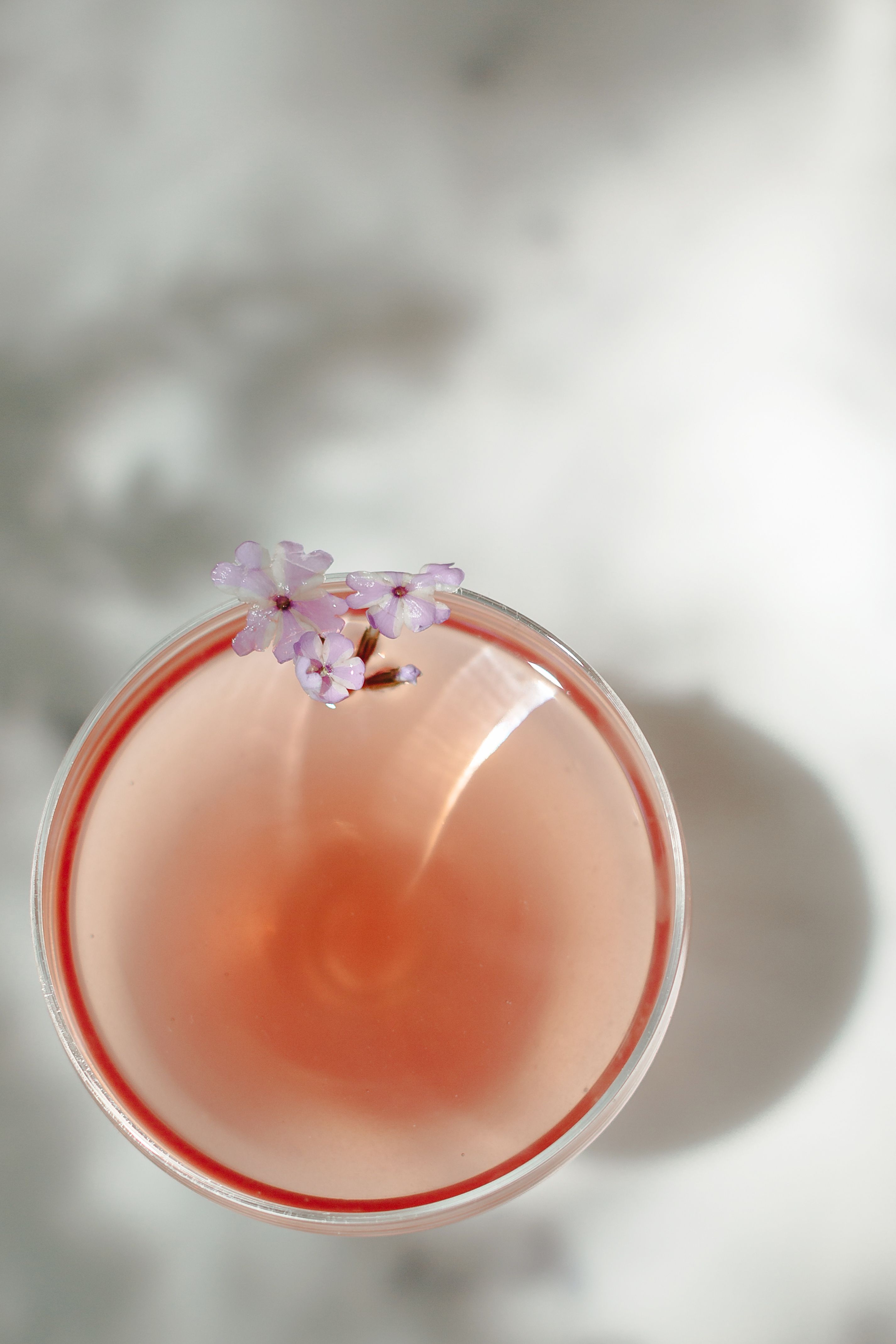 Wild Fork cocktails