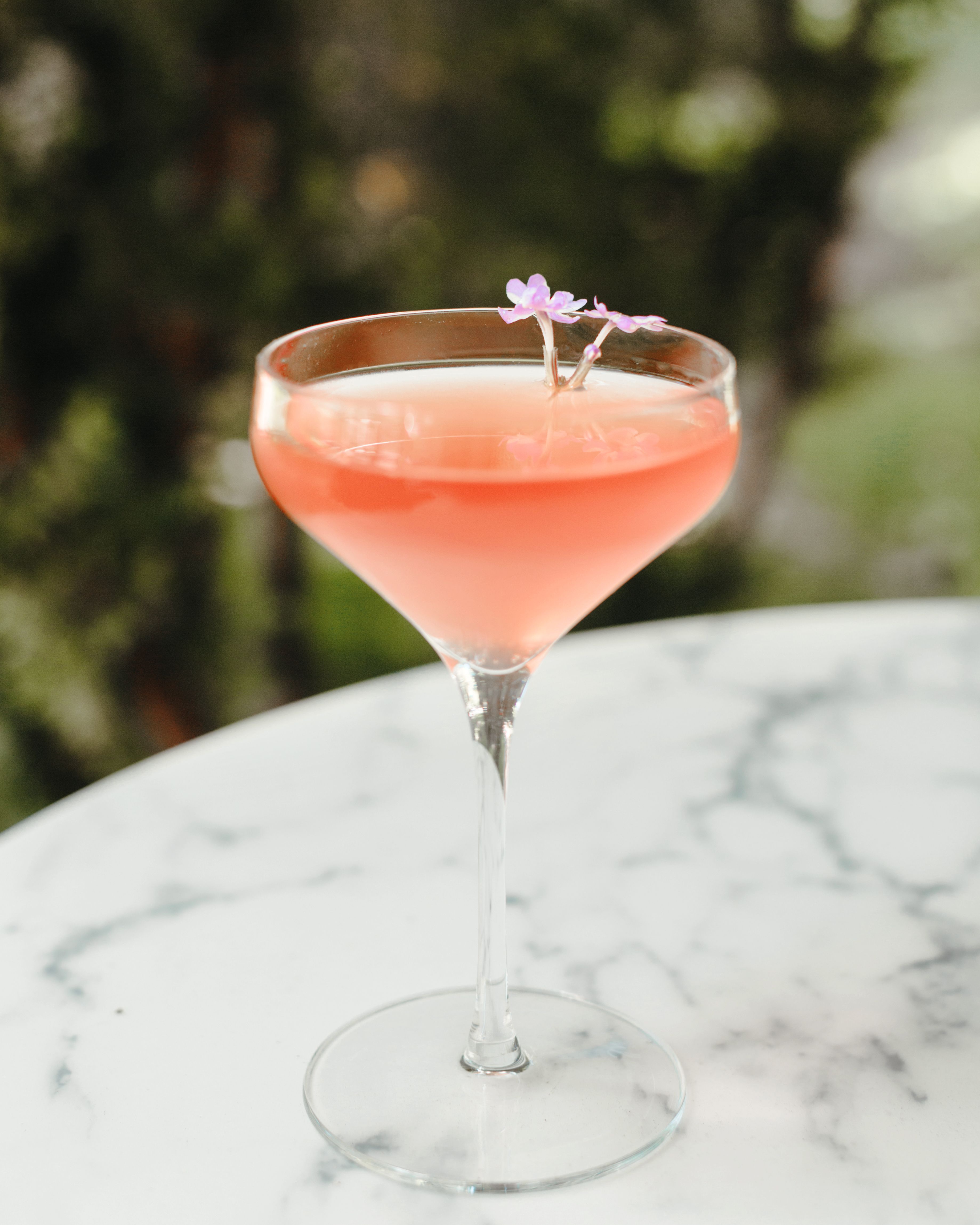 Wild Fork Cocktails