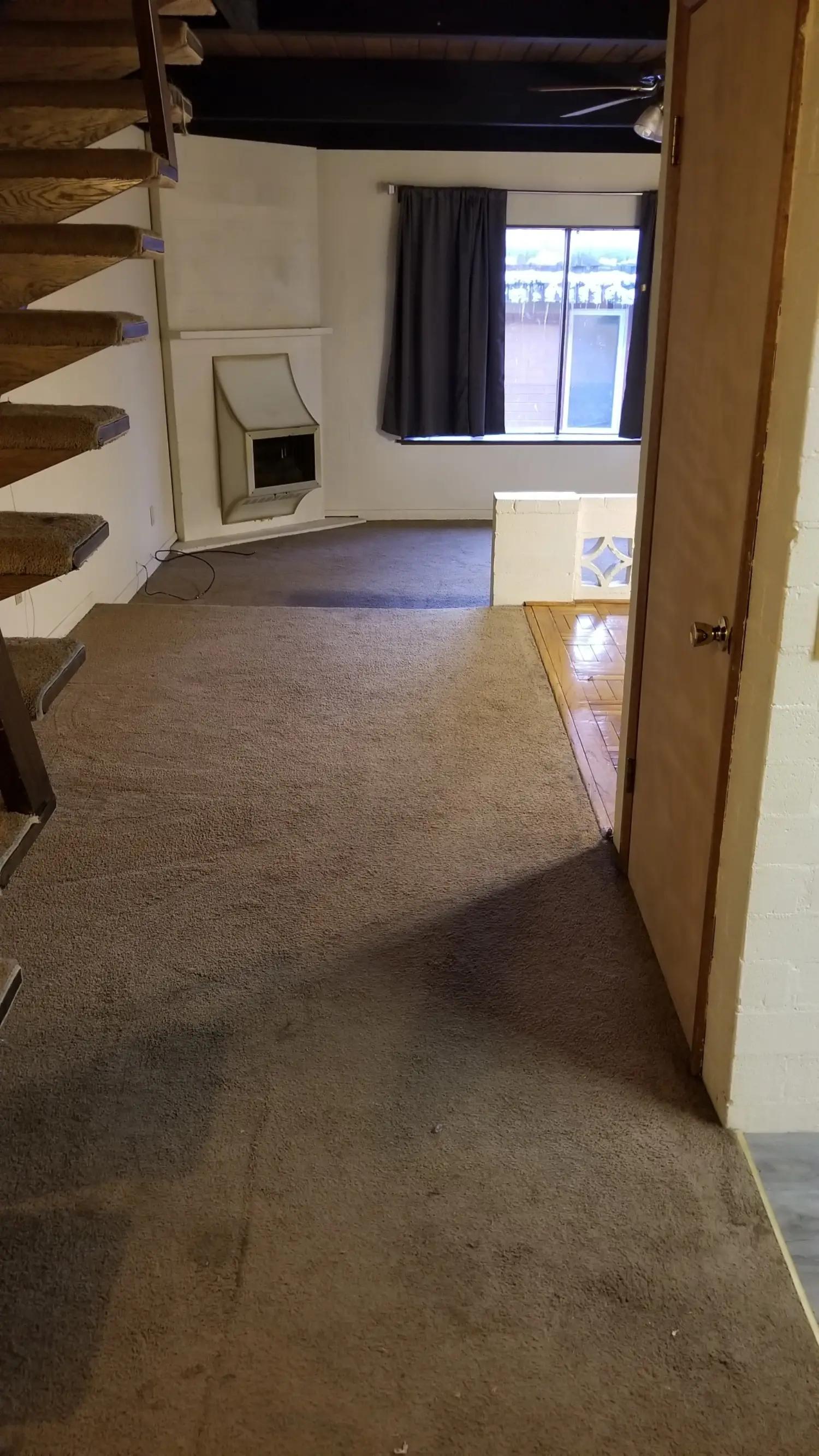 TripleScott Property