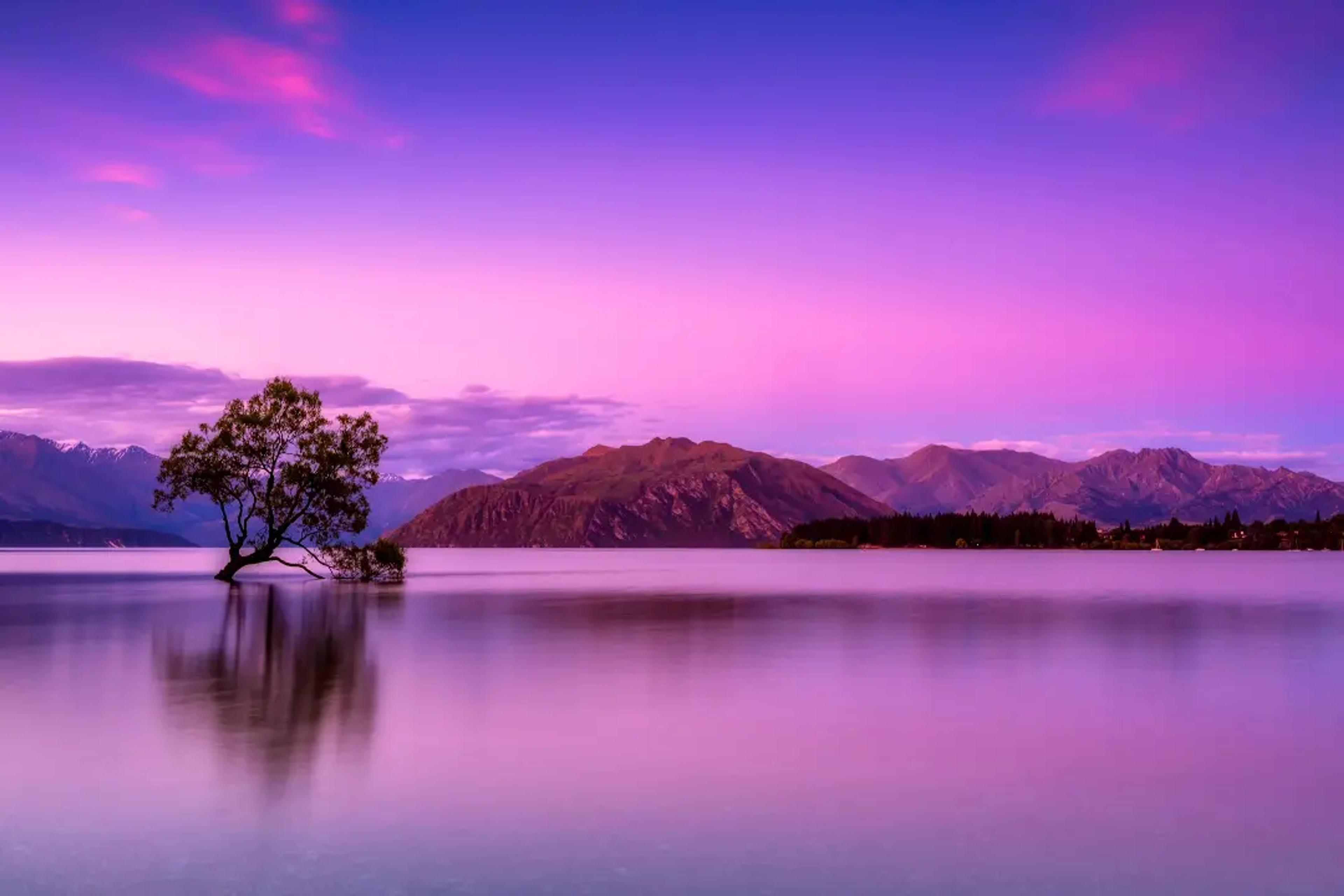 paysage