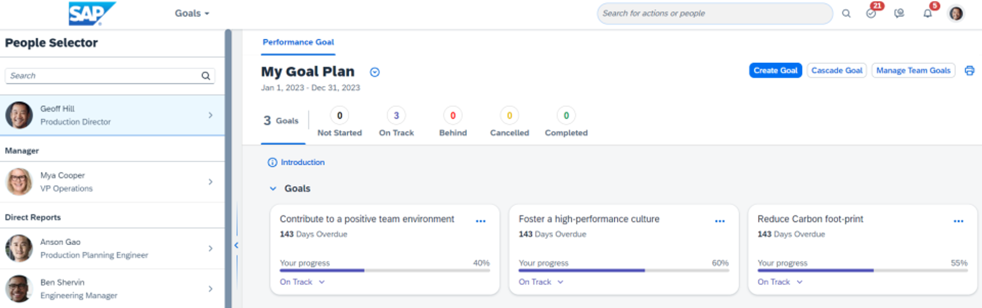 SAP Entwicklungsplan