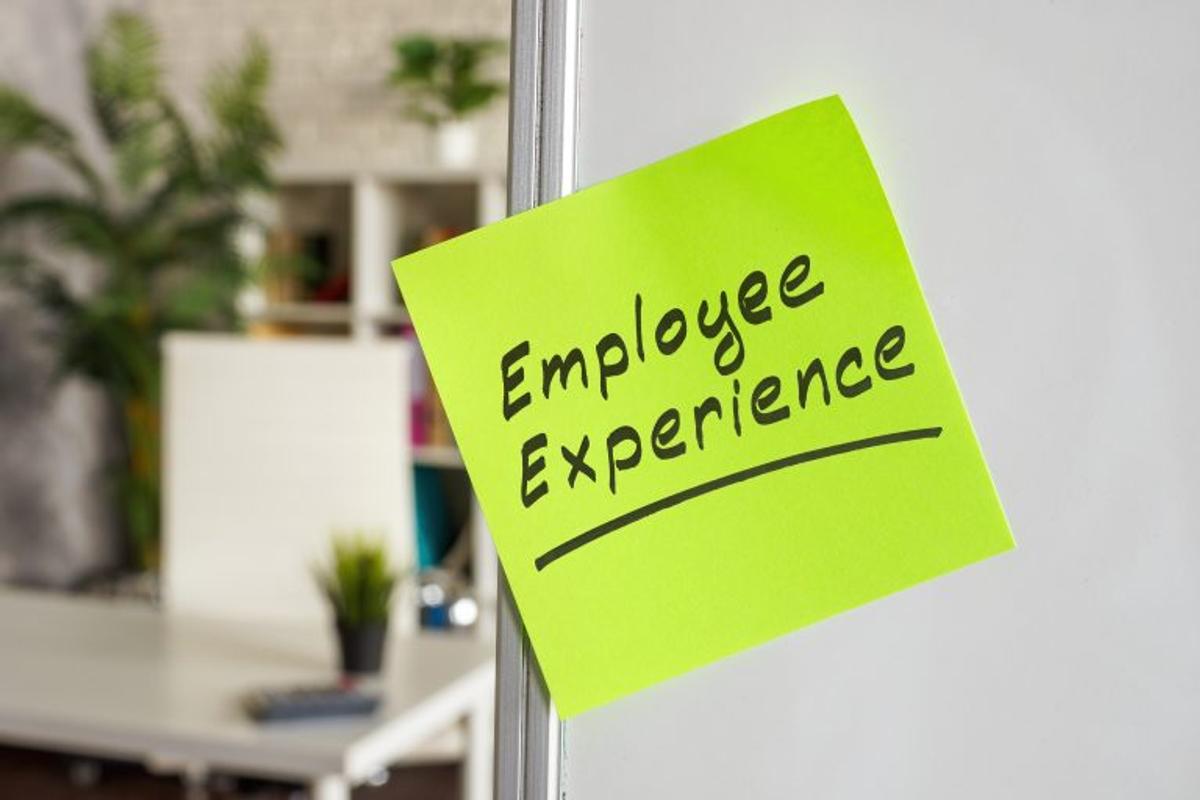 employee experience obraz