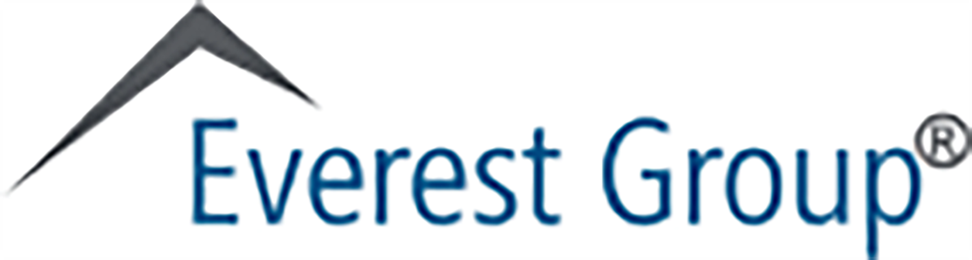 Everest Group Image