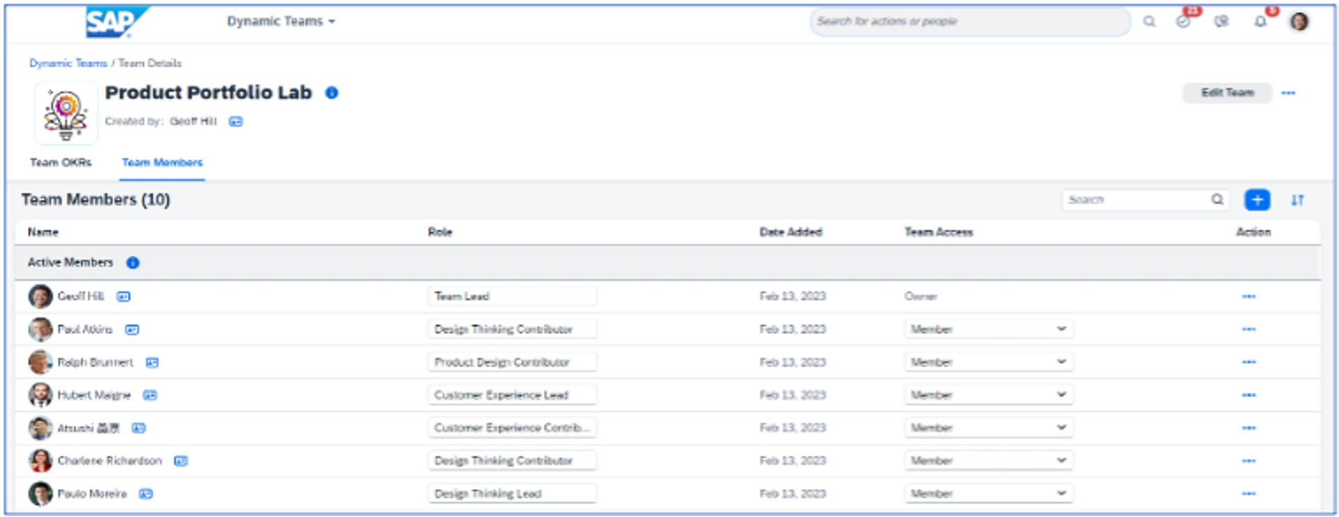 product portfolio lab obraz