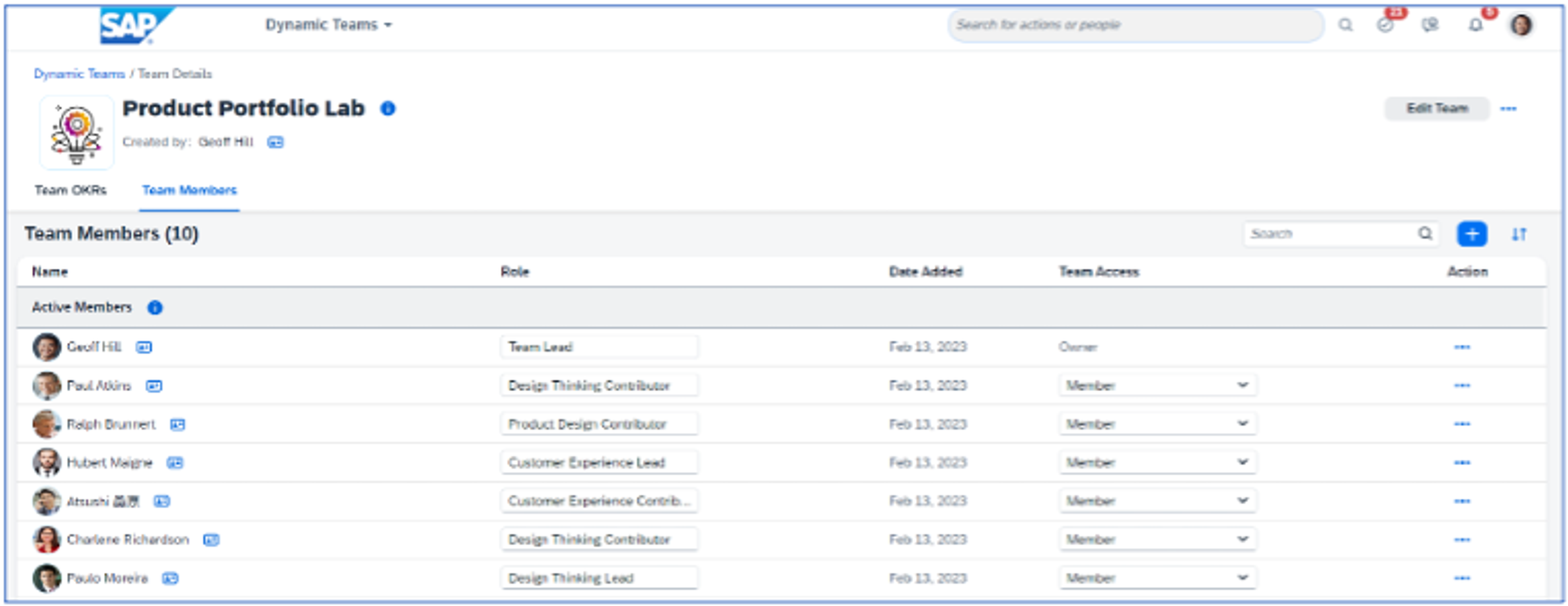 product portfolio lab obraz