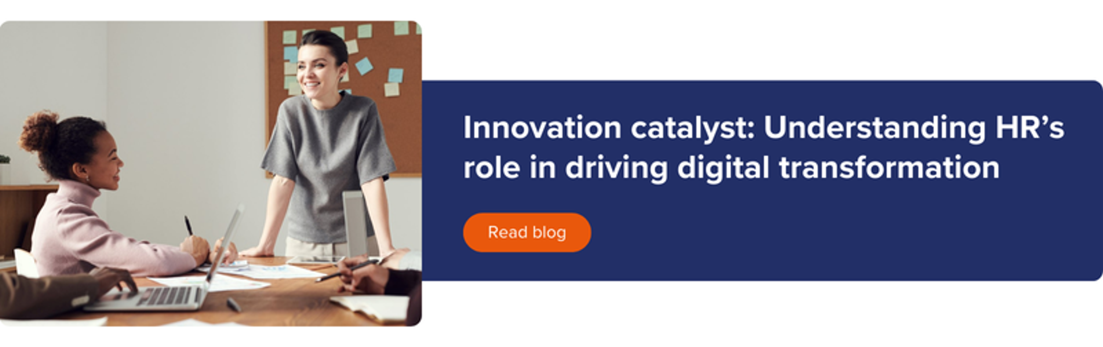 Sanity Image