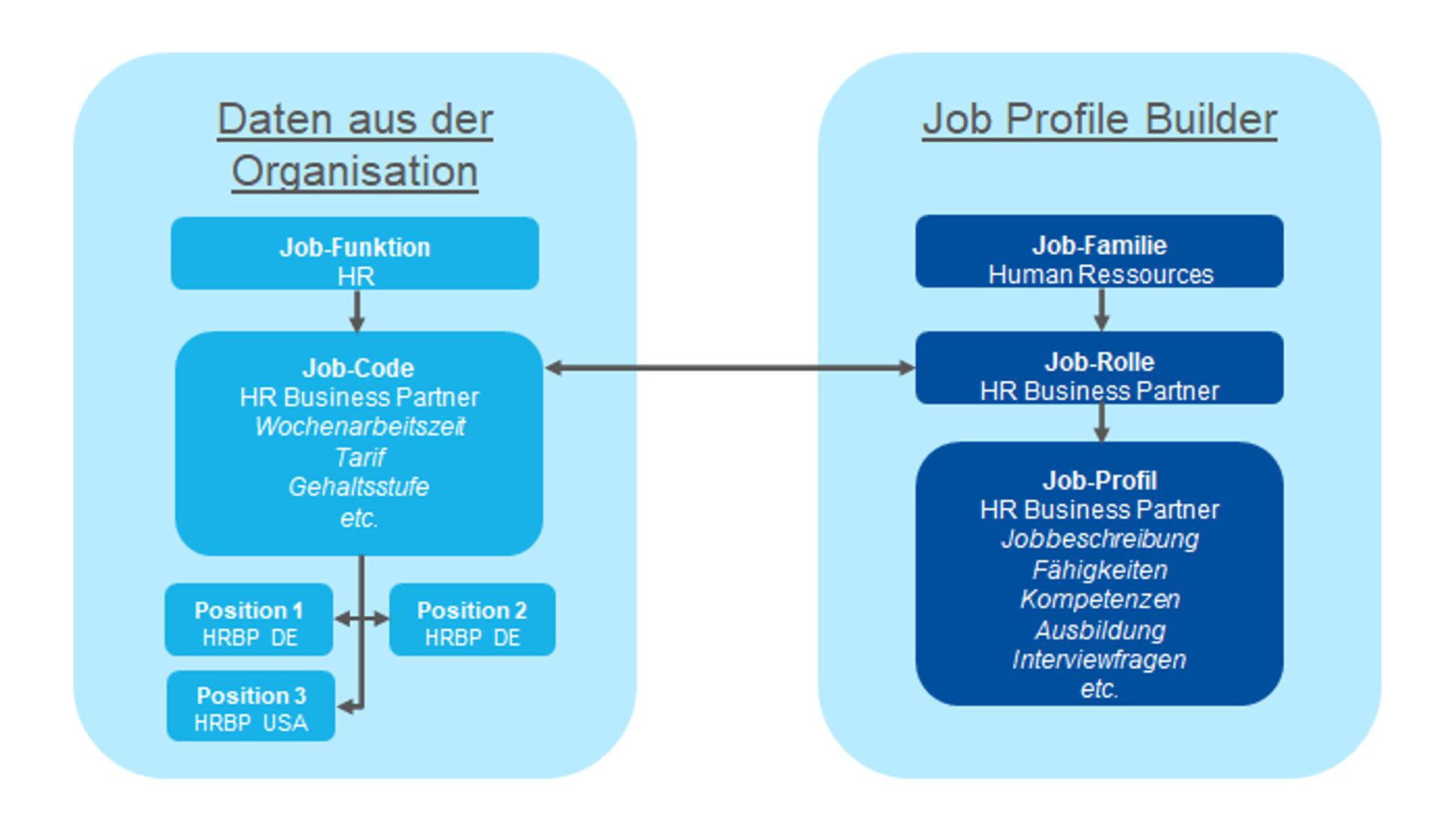 Job-Funktion und Job-Code <> Job-Familien und Rollen