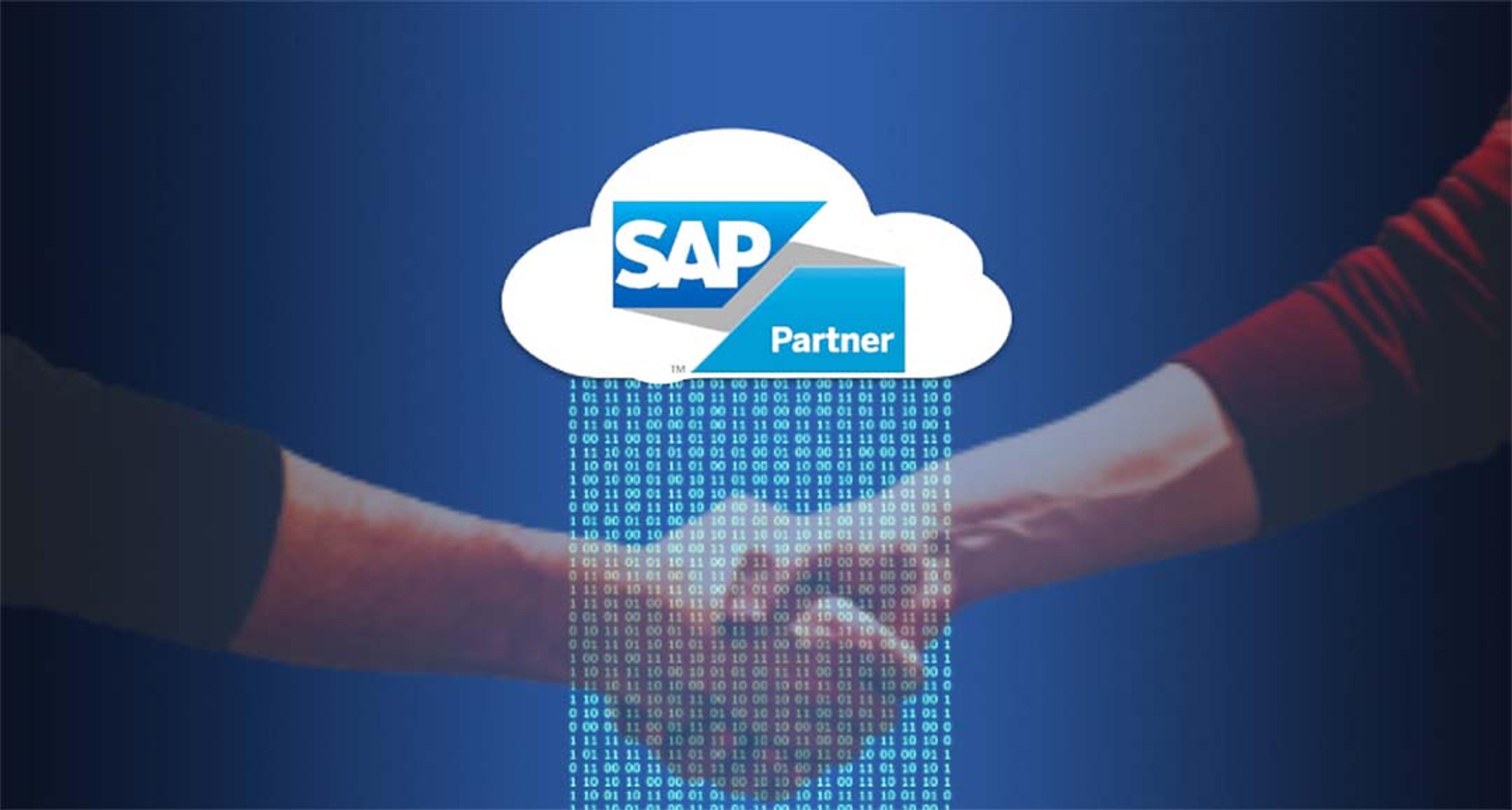 Guide to the SAP Competency Framework and selecting the right implementation partner