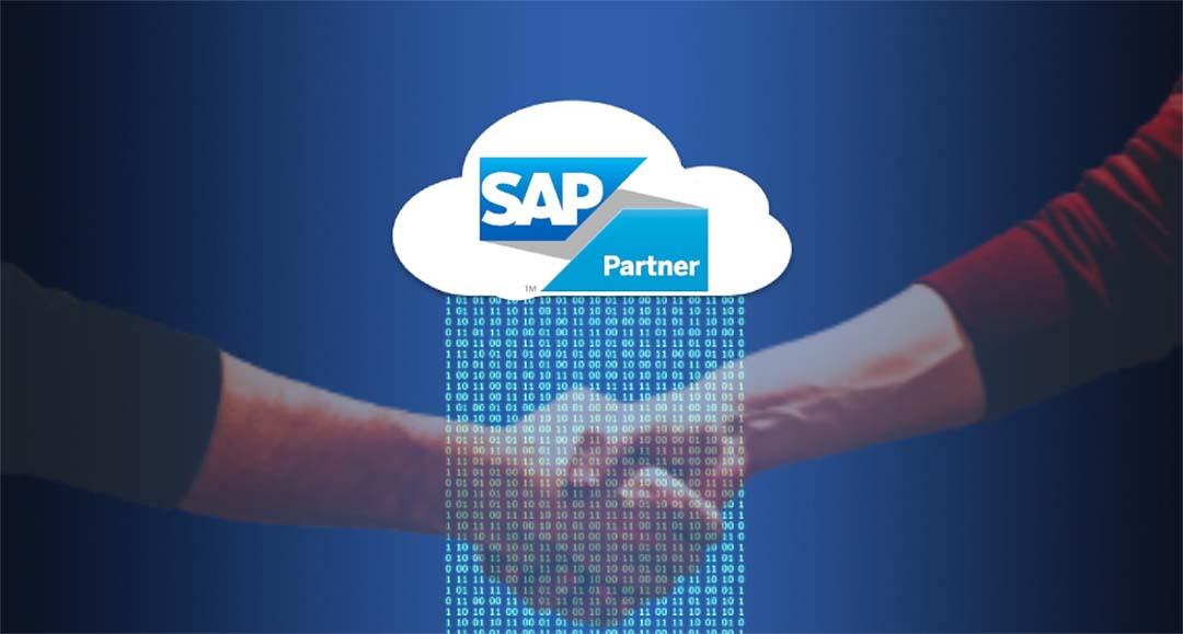 Guide to the SAP Competency Framework and selecting the right implementation partner
