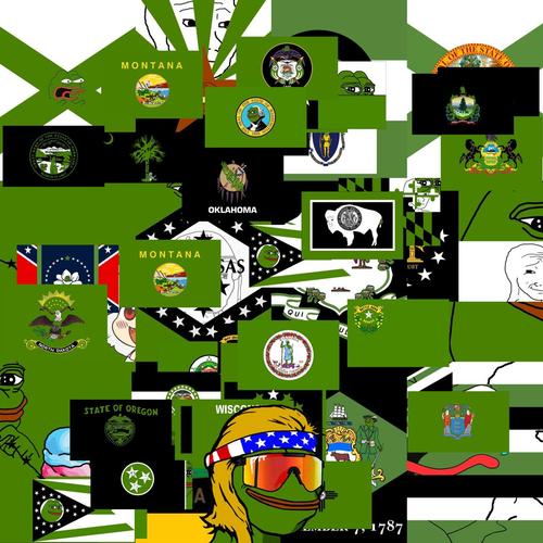 Pepe The Frog US State Flags Collection