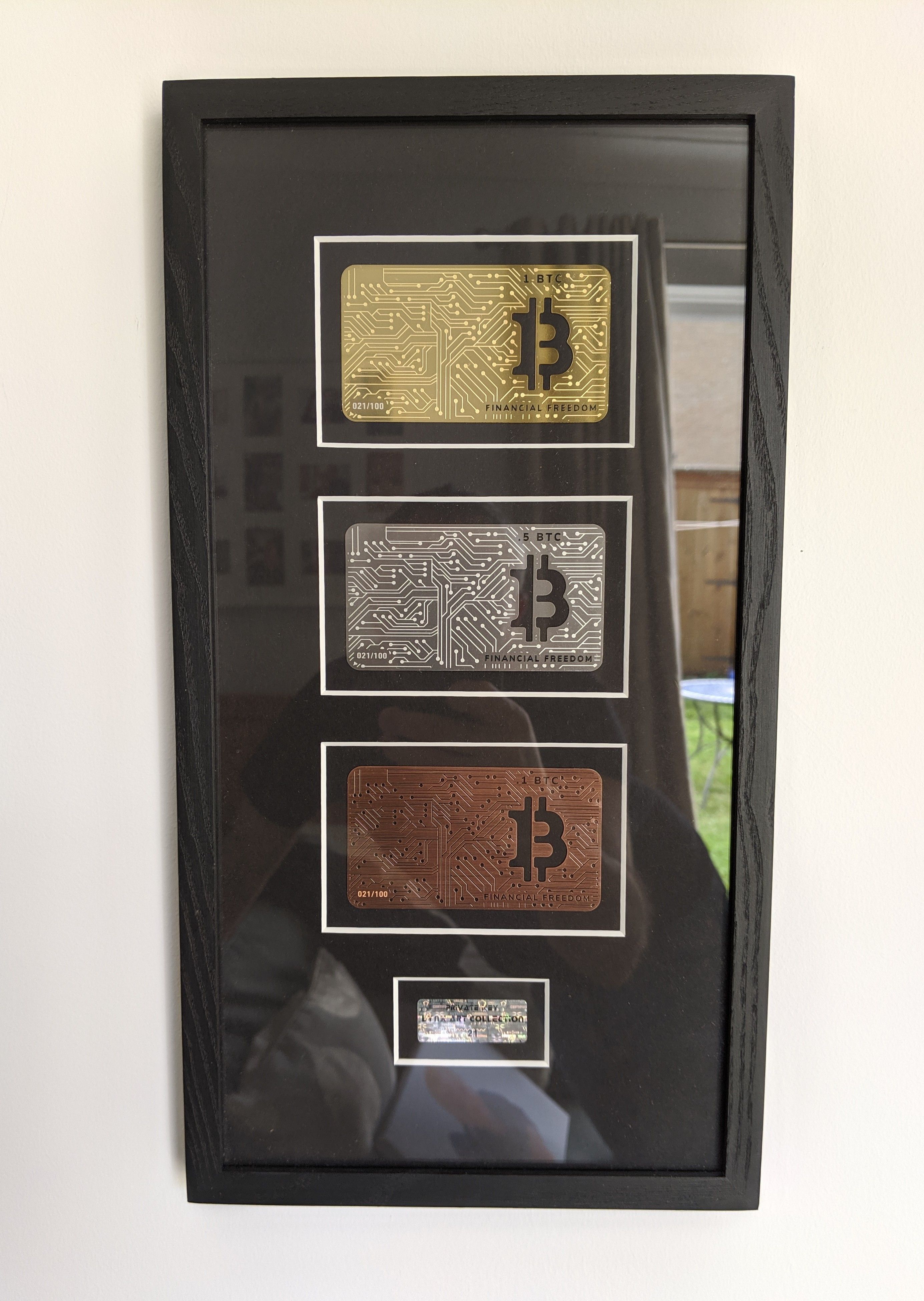 LynxArt Metal Bitcoin Cards #21