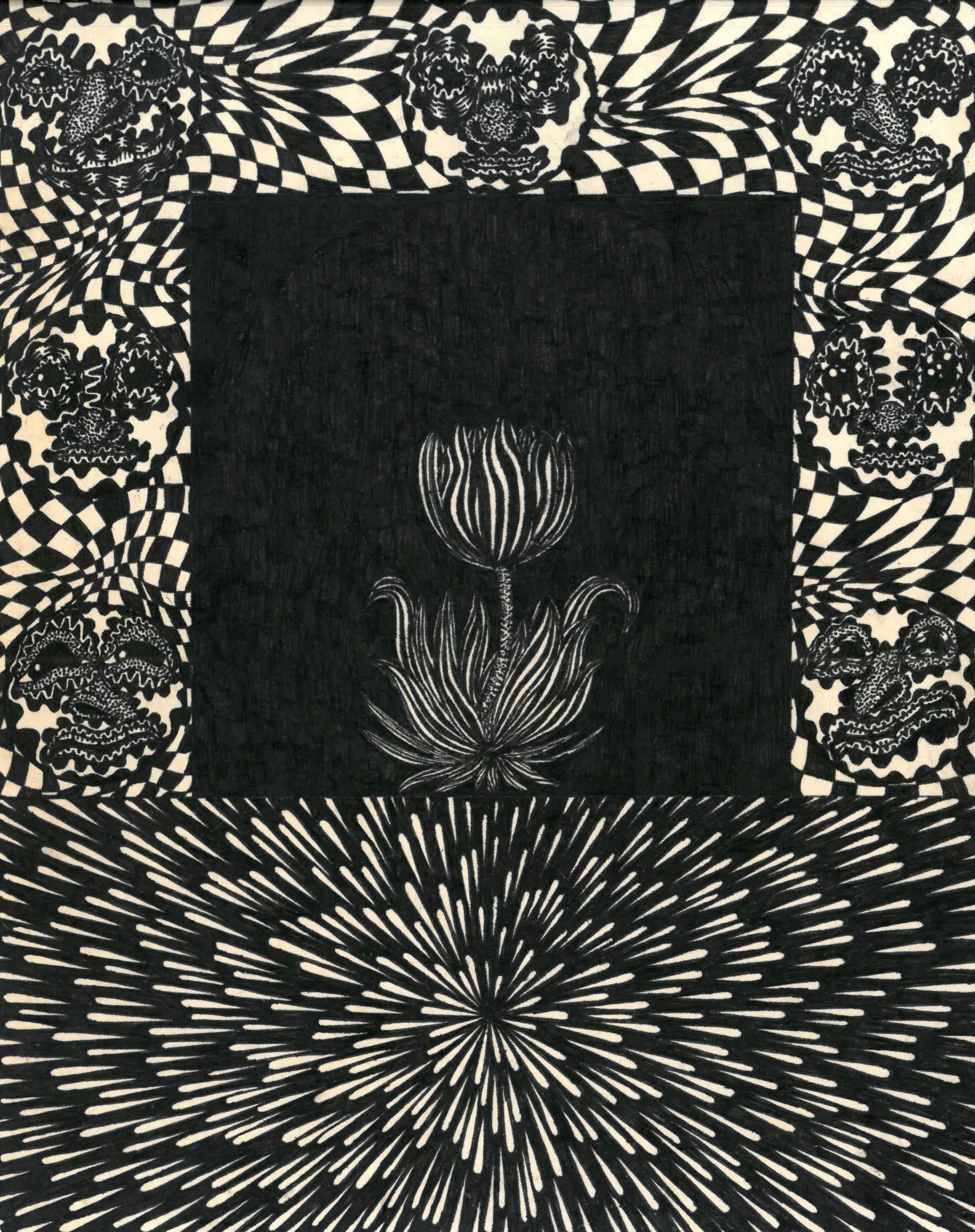 Bloom and Bust