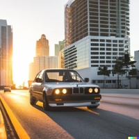 Philip Selega avatar