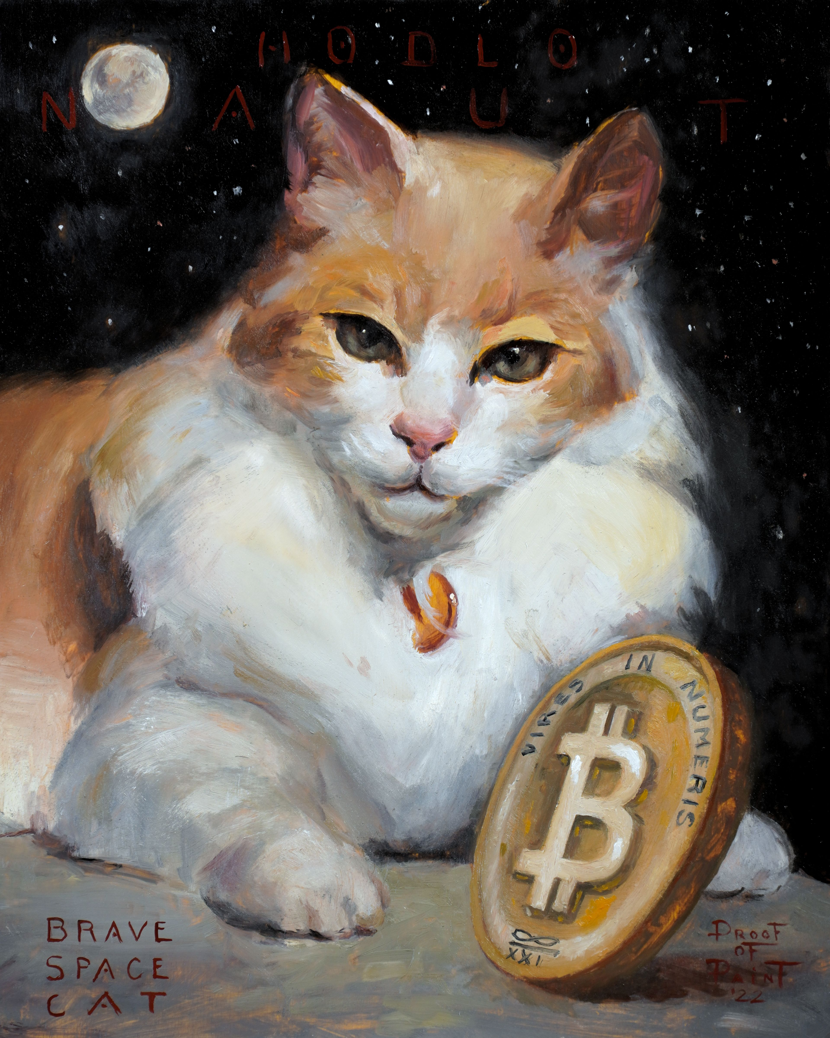 Hodlonaut, Brave Space Cat