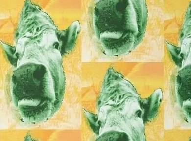 Progressive Memetics