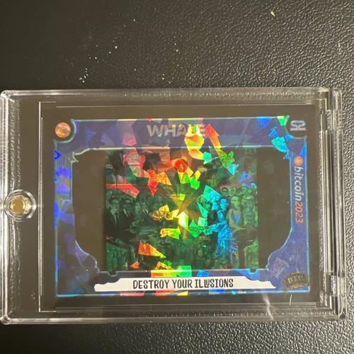 B23C10 Destroy Your Illusions #89/100