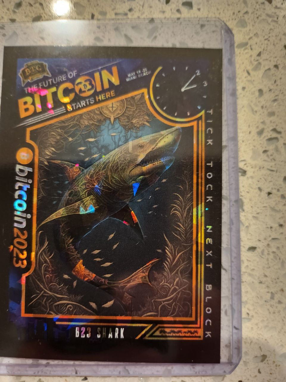 B23 C4 SHARK #001/100