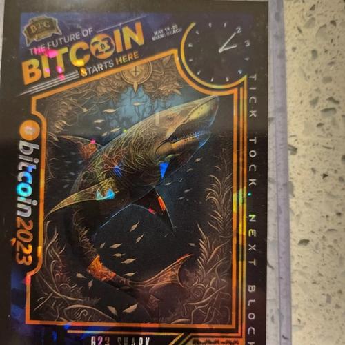 B23 C4 SHARK #001/100