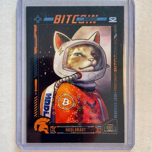 S2C112 Hodlonaut #478/500