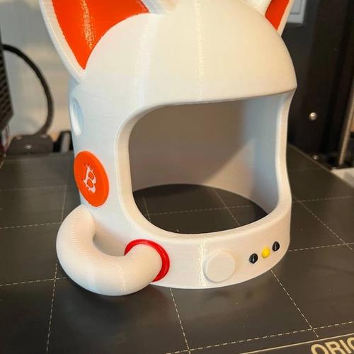 Space Cat Helmet - You'll need this for the moon