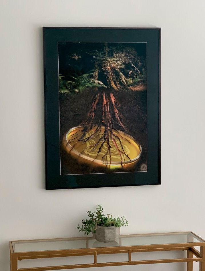 Tree Of Life