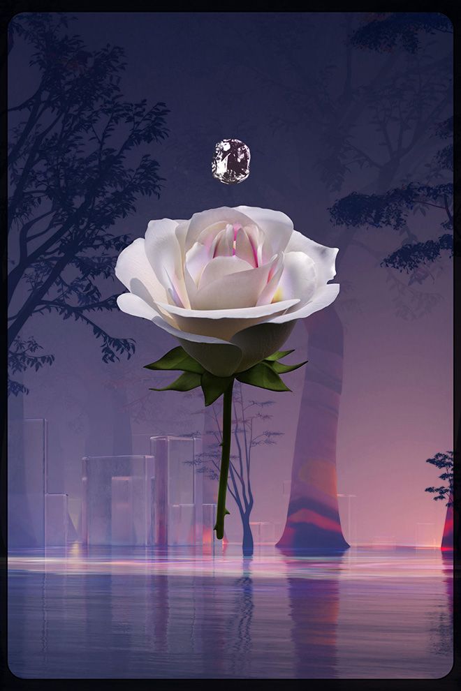 Eternal Rose: Swamp