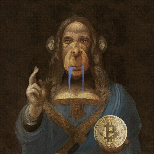 SALVADROOL - Framed + Counterparty Token