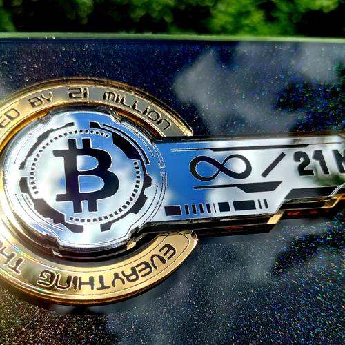 "The Bitcoin Infinity Key" Public Key
