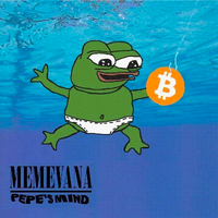 CitadelBlocks avatar