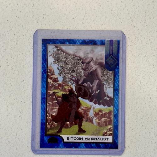 S1C25 Bitcoin Maximalists (#/1000)