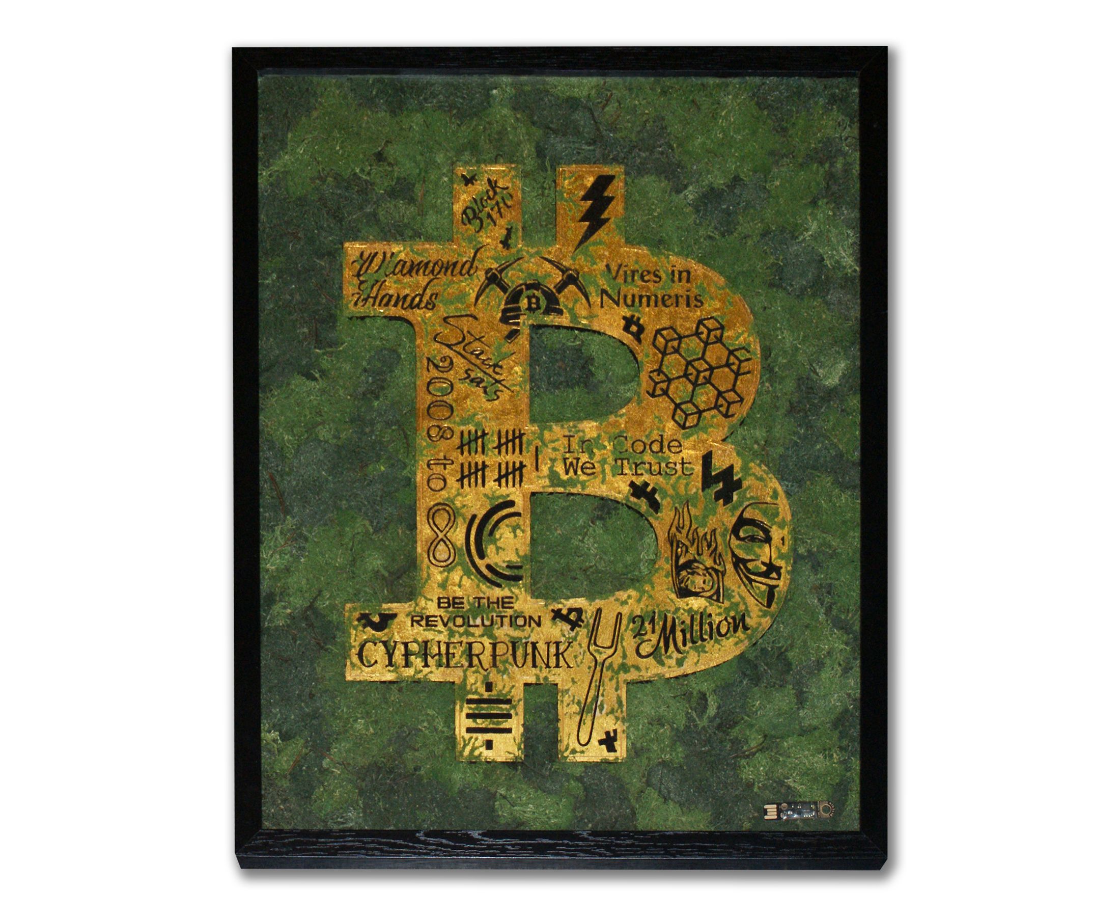 The Lost Bitcoin - 1 of 1