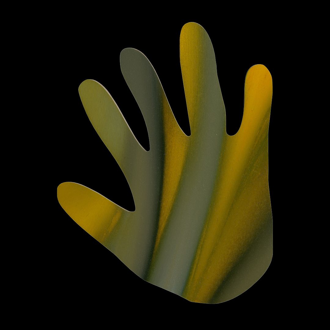 The Hand Of Satoshi 003
