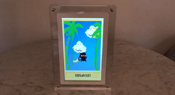 NINJASUIT Animated Display
