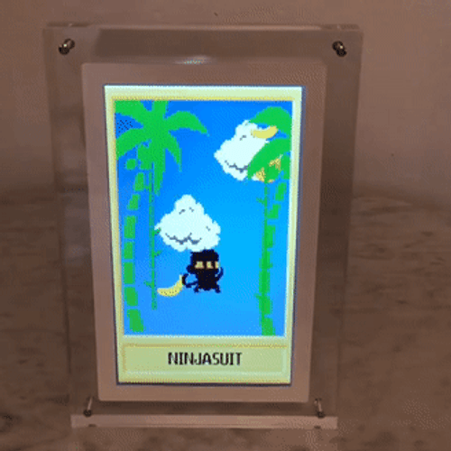 NINJASUIT Animated Display