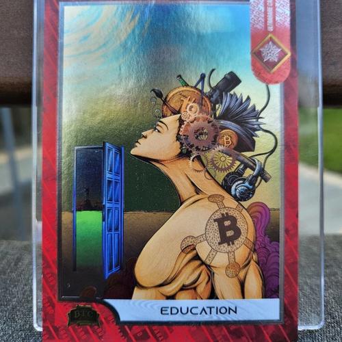 S1C20 Education (/500)