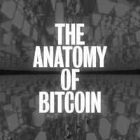 Anatomy of Bitcoin avatar