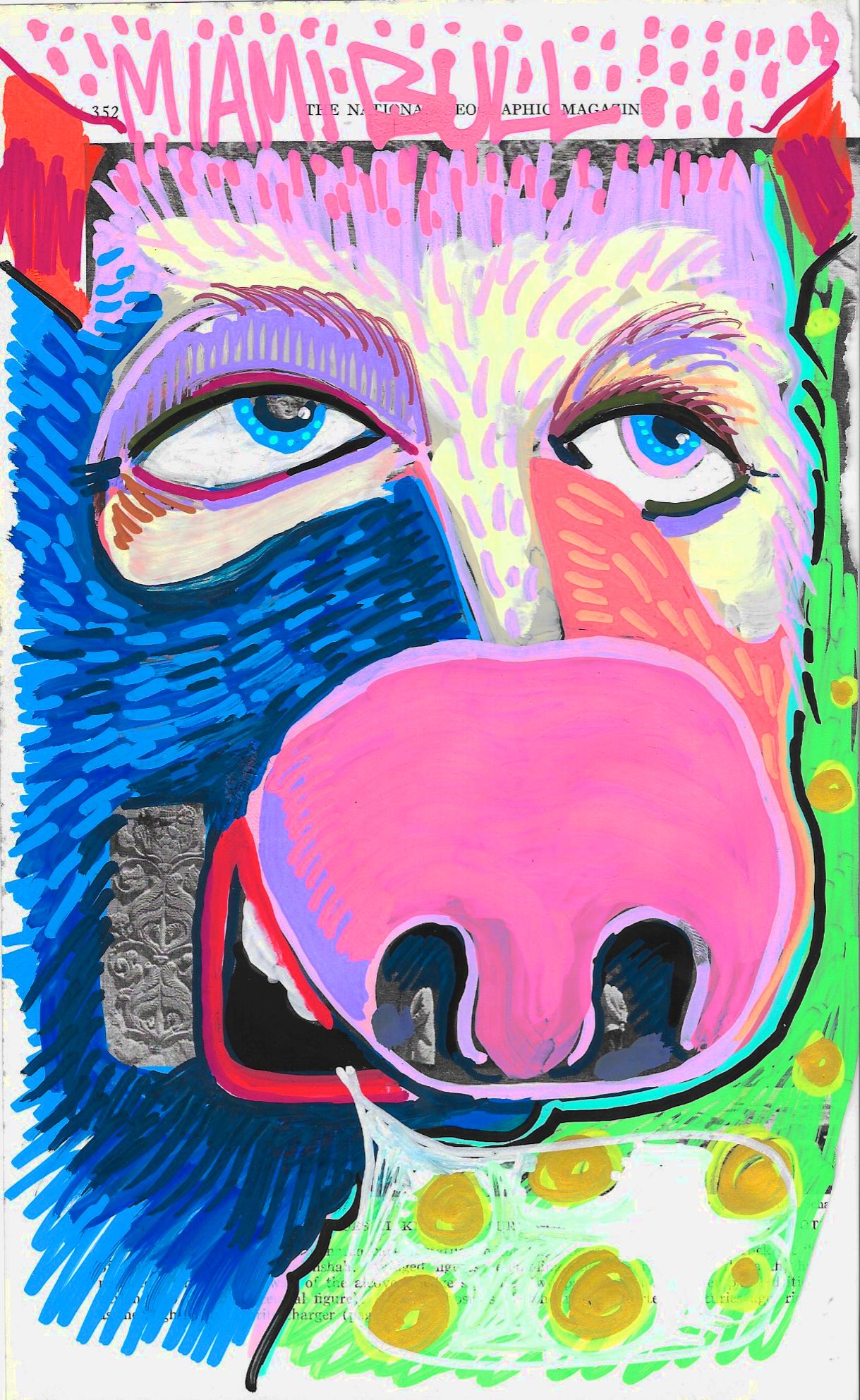 Miami Bull