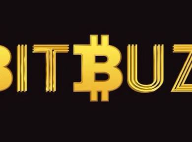 BitBuzz Vault Raid Collection