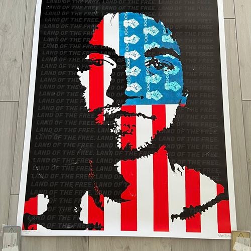 Josie Bellini Free Ross Poster 2019 RARE #1/10 Large 30" x 40" - Damaged/sold as is