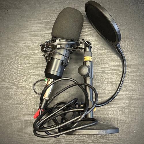 Podcast Microphone — Used for Nearly All Podcast Content