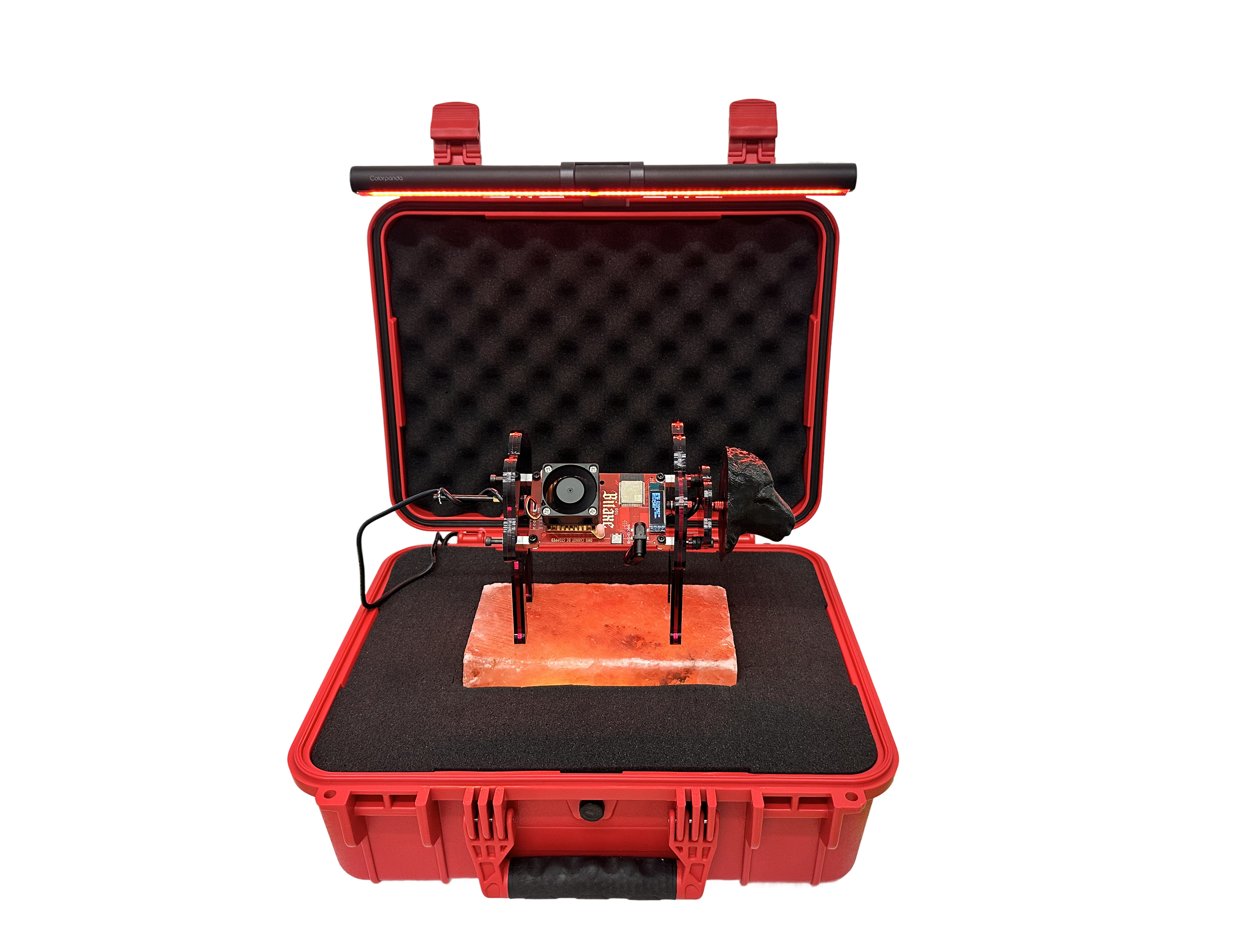 Red + Lotto Black Sheep