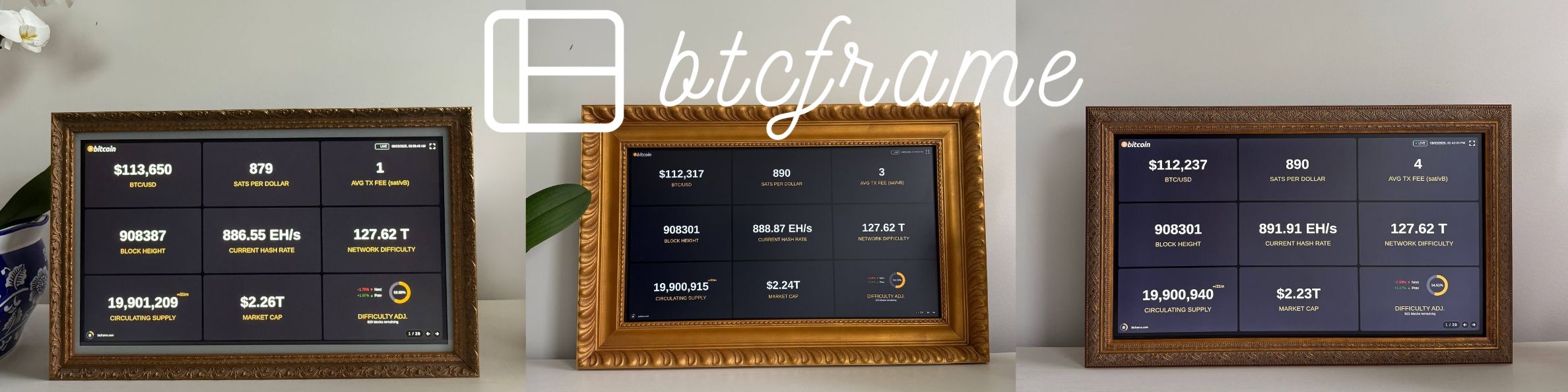 BTC Frame Collection