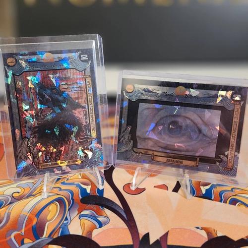 Pacific Bitcoin23 bitcoin trading cards: Madex "Vendetta against monetary tyranny" and Brekkie "Awakening" xx/250