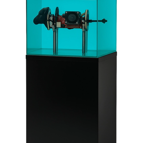 Liquid + Lotto Black Sheep