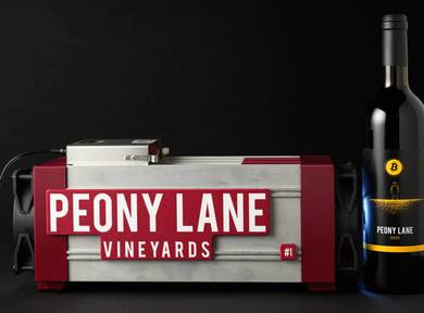 Peony Lane X CryptoCloaks