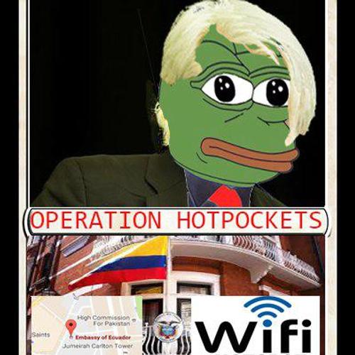 Vintage Rarepepe Bundle