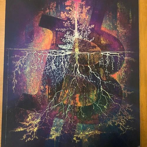 BITCOIN LIGHTNING ROOTS 868021 - 1/1