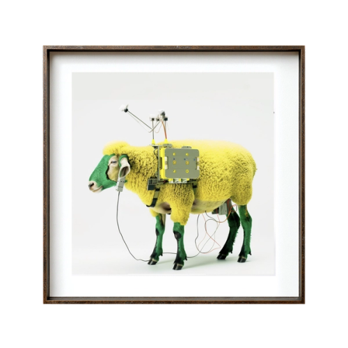 Electric Sheep - Rig 03