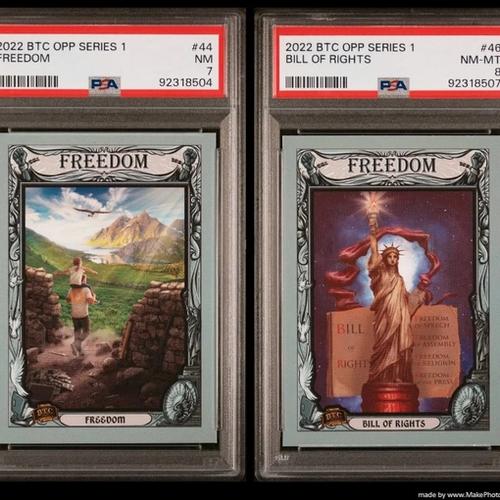 Freedom Category S1 Commons - Freedom PSA 7 & Bill of Rights PSA 8